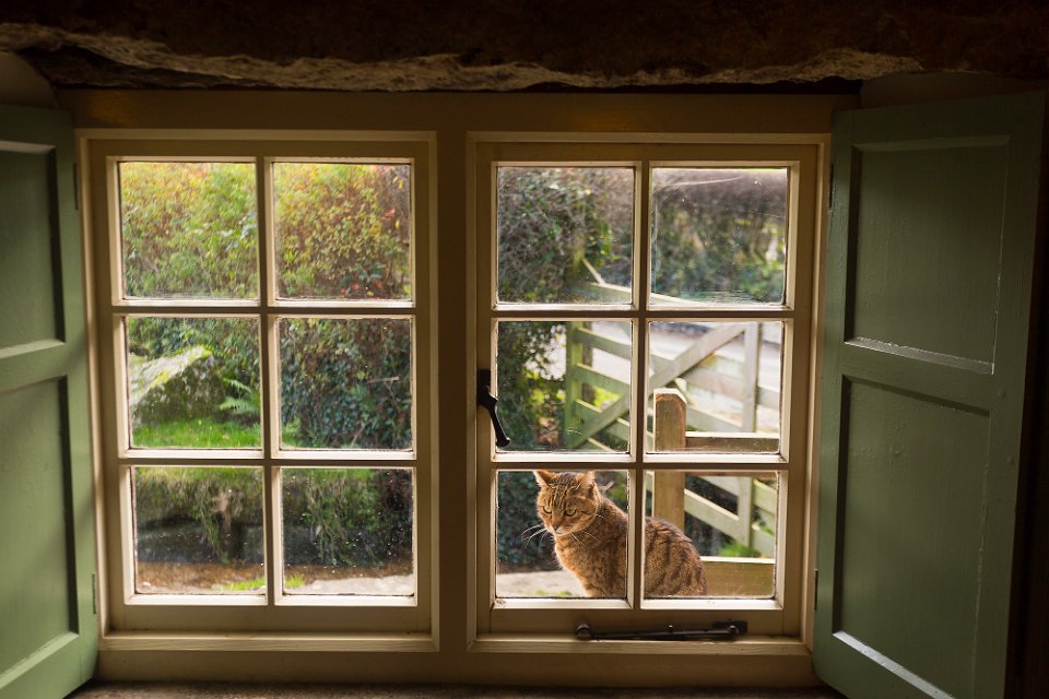 pub cat rugglestone inn